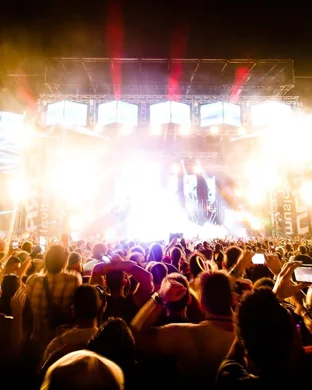 Pines Fest St. Louis