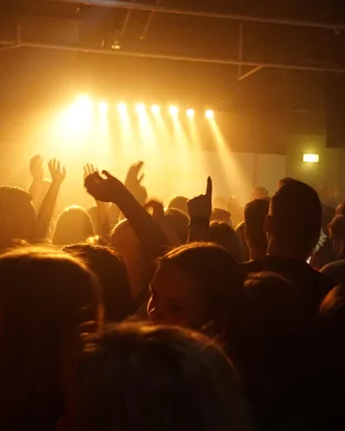 Just Fine - Mary J. Blige Tribute Band St. Louis