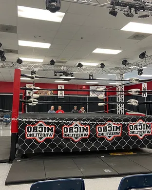 Micro Wrestling