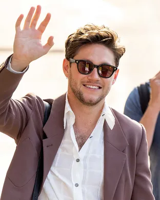 Niall Horan St. Louis