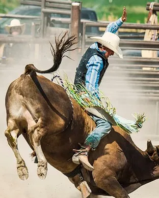 Sera Black Rodeo St Louis