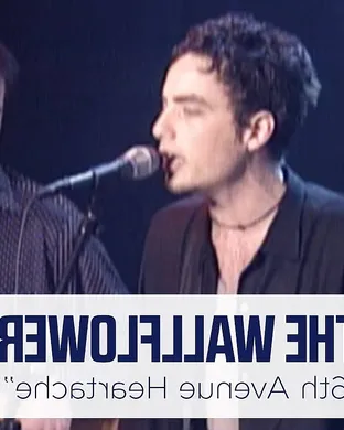 The Wallflowers St. Louis